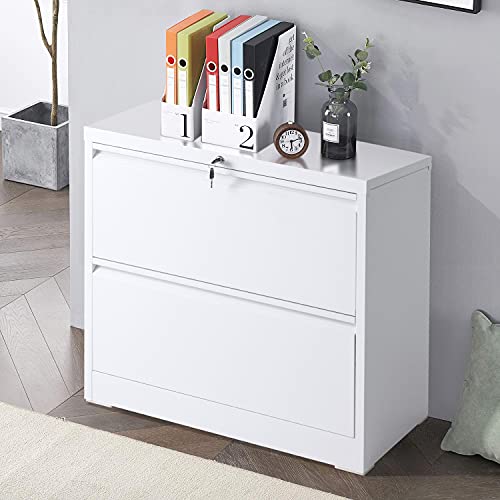 Lateral File 2 Drawer Lateral Filing with Lock, Metal
