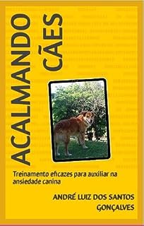 Acalmando cães: Treinamento eficazes para auxiliar na ansiedade canina