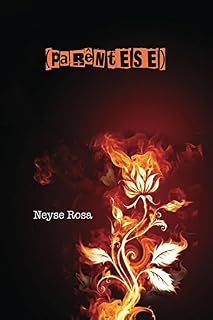 Livro Parêntese (Coleção AS 11 PÉTALAS DA ROSA Livro 5)