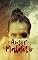Livro Amor Maldito