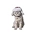 Stock Show Pet Trapper Hat, Pet Birthday Hat Holiday Festival Costume Cat Dog Old-Fashion Classic Plaid Hat