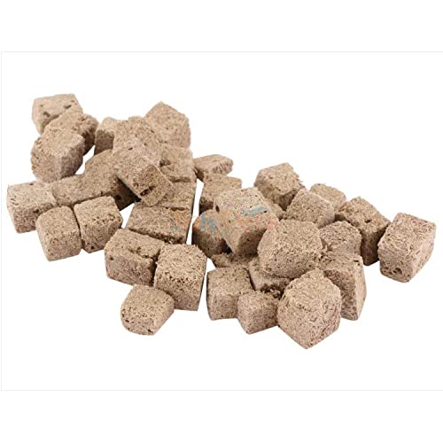 FishAsPets Hallofeed Freeze Dried Tubifex Worms | 40 Grams | Natural Fish Food 2