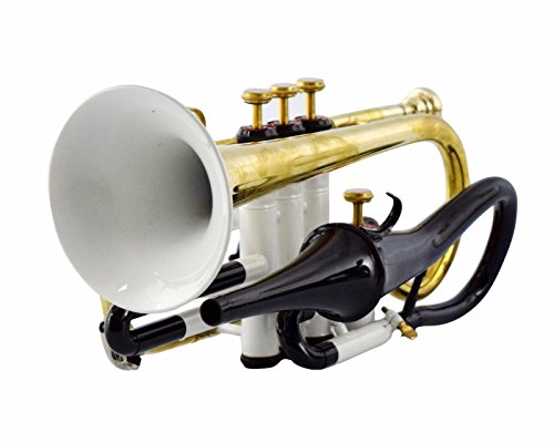 WHITE COLOR ECHO CORNET Bb PITCH FOR SALE WITH FREE HARD CASE AND MOUTHPIECE