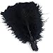 Generic Black 18-20inch 45-50cm Ostrich Feather Wedding Table Decoration Party Festival Supplies Pack of 5 primary