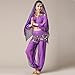 MUNAFIE Belly Dance Harem Pants Arabic Halloween Lantern Shiny Pants Fancy Pants US0-14 Purple