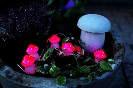 solar toadstool lights