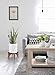 Mkono Plant Stand Wood Mid Century Flower Pot Holder (Pot Not Included) Home Decor Potted Rack Rustic Decor, Fits Up to 12 Inch Planter, Brown