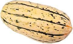 Organic Delicata Squash