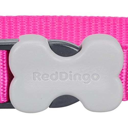 Red Dingo Classic Dog Collar, Small, Hot Pink