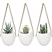 Mkono Ceramic Hanging Planter Succulent Air Plant Flower Pot Wall Decor, Set of 3