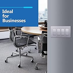 LIDER Matte Finish Decorator Switch
