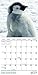TF Publishing 2017 Baby Animals Mini Calendar (17-2000)