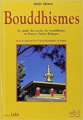 Bouddhismes Le Guide Des Ecoles Du Bouddhisme En France Suisse Belgique Amazon De Sillard Alain Fremdsprachige Bucher