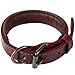 Logical Leather Padded Dog Collar - Best Full Grain Heavy Duty Genuine Leather Collar - Brown - Small