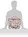 Kanga Care Wet Bag Seam Sealed Waterproof 3D Dimensional for Baby Cloth Diapers, Travel, Beach, Pool, Gym, Swim | Clyde