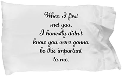 When I First Met You - 1 Year, 2 Year, Happy Wedding Anniversary Gift Ideas for Him, Her, Boyfriend, Girlfriend, Husband, Wife - White Pillow Case