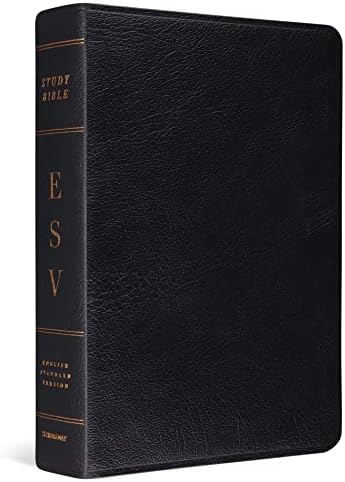 ESV Large Print Personal Size Bible, Red Letter (Buffalo Leather