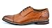 Bruno Homme Moda Italy Prince Men's Classic Modern Oxford Wingtip Lace Dress Shoes,PRINCE-5-BROWN,10 D(M) US