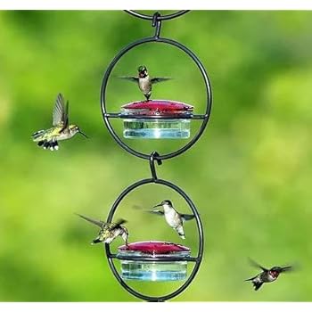 Amazon Com Glass Hummingbird Feeder With Metal Parasol Umbrella