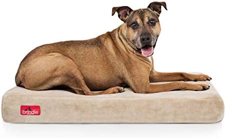 brindle waterproof dog bed