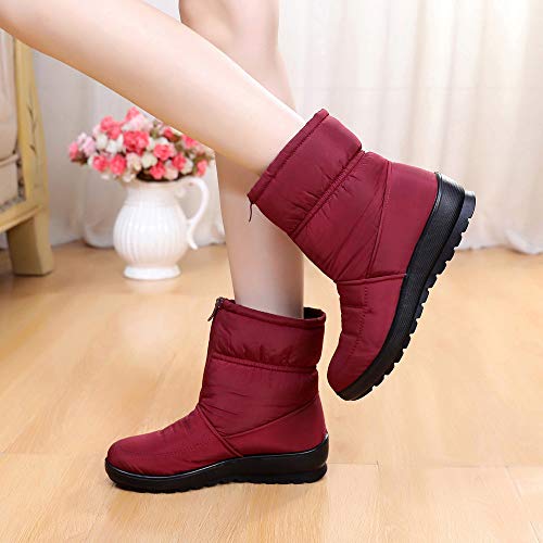 Teresamoon Women's Ladies Winter Waterproof Short Snow Boots Footwear Warm Shoes (Red/40)