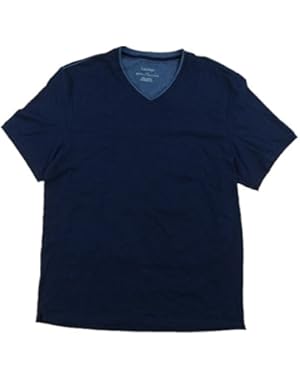 Calvin Klein Mens V-Neck Lifestyle T-Shirt, Blue, Medium