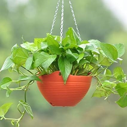 Greenport 3 Pcs Plain Color Round Plastic Hanging Planter Flower Pot with Metal Chain for Home and Garden Indoor Plant (Multicolor)
