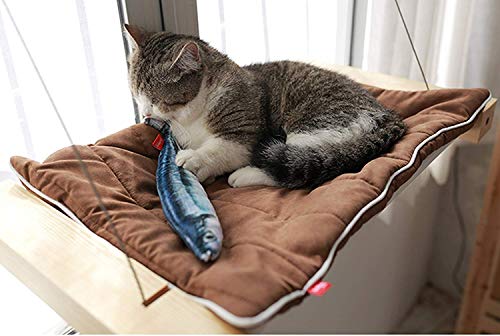 Laifug Fish Cat Toy with Catnip (2 Toys, Standard)
