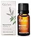 Gya Labs Spearmint Essential Oil for Diffuser & Skin - 0.34 Fl Oz - 100% Pure Natural Spearmint Oil for Facial, Hair, Massage, Aromatherapy & Candle Making Scent