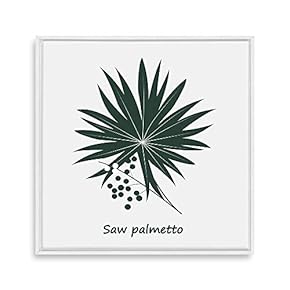 Framed Canvas Wall Art for Living Room, Bedroom Nordic Style Plants Theme Canvas Prints for Home Decoration Ready to Hang - 16x16 inches