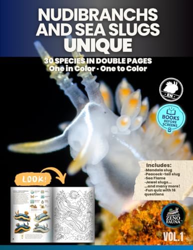 Amazon.com: Nudibranch & Sea Slug Identification - Indo-Pacific