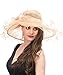 SAFERIN Women's Organza Church Kentucky Derby Hat Feather Veil Fascinator Bridal Tea Party Wedding Hat (SF4-Champagne)
