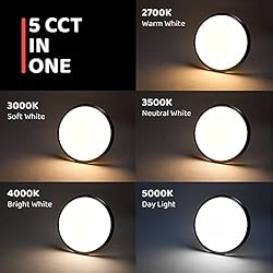 OREiN LED Ceiling Light, Brushed Nickel Flush Mount