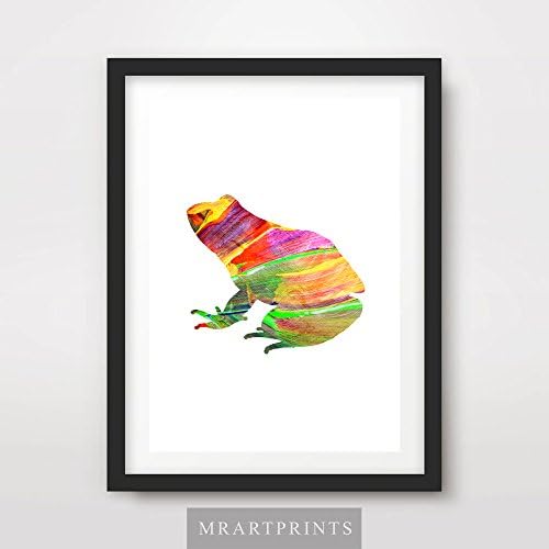 ANIMAL SILHOUETTE FROG ART PRINT POSTER Bright Color Colorful Modern Contemporary Illustration Painting Home Decor Interior Design Wall Photo Picture A4 A3 A2 (10 Sizes)