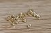 Fly Shop Earring Backs (5 Pairs) Ear Nuts (Gold Round Nuts)