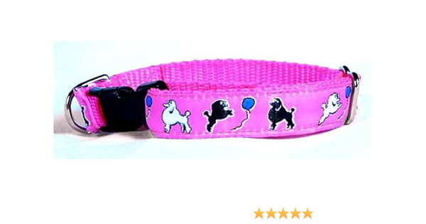 toy poodle collars