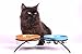 MushroomCat Colour Cat Feeder-Metal Raised Elevated Food Water Double Ceramic Bowls-Raised Pet Dish (Blue and Orange)