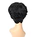 Ty.Hermenlisa 100% Real Virgin Brazilian Remy Human Hair Wigs for Black Women Natural Color Wavy Short Bobs Hairpieces with Elastic Strap, 81g, Jet Black