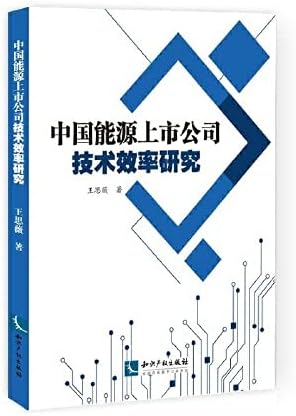 Amazon Com 中国能源上市公司技术效率研究 王思薇 Books