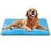 JoicyCo Large Dog Bed Crate Mat 42 in Washable Pet Beds Soft Dog Mattress Anti-Slip Kennel Mats,Blue L