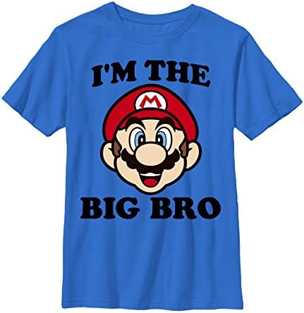NintendoBoys' Big Bro Mario