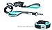 Black Rhino Heavy Duty Dog Leash for Medium and Large Dogs - 6 ft Long Double Handle Leash with Padded Traffic Control Handles and Bag for Comfort - Reflective, Durable, and Weather Resistant (Aqua)