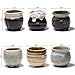 FairyLavie 2.5 Inch Ceramic Succulent Plant Pot, Rustic Style Cute Little Pots for Plants, Planter with Bamboo Tray, Perfect for Home Office Decor and Ideal Gift for Family Friends Colleague, Set of 6
