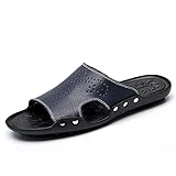 HWJ-X001lanse42 EnllerviiD Men Slip On Open Toe Slide Sandals Slippers Summer Casual Beach Shoes Blue 9 D(M) US