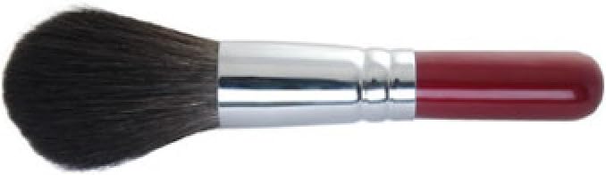 powder brush amazon