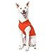 Gooby - Fleece Vest, Small Dog Pullover Fleece Jacket with Leash Ring, Pumpkin, X-Large