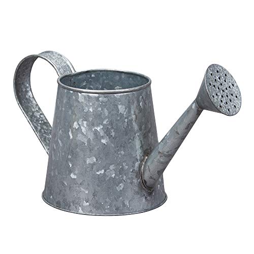 Top 10 Galvanized Watering Can of 2020 No Place Called Home