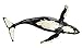 Safari Ltd. Humpback Whale Figurine - Lifelike 14