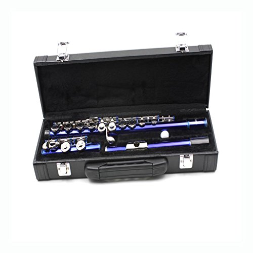image for Baoblaze Durable Picccolo Flute Hard Case Cover Bag with Carry Handle 
