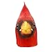 CreepyParty Deluxe Novelty Halloween Costume Party Latex Bird Cardinals Head Mask Linnet